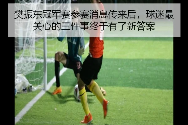 樊振东冠军赛参赛消息传来后，球迷最关心的三件事终于有了新答案